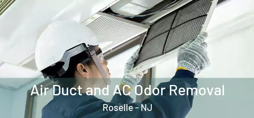 Air Duct and AC Odor Removal Roselle - NJ