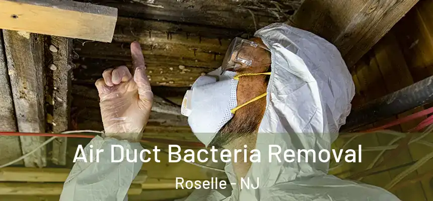 Air Duct Bacteria Removal Roselle - NJ