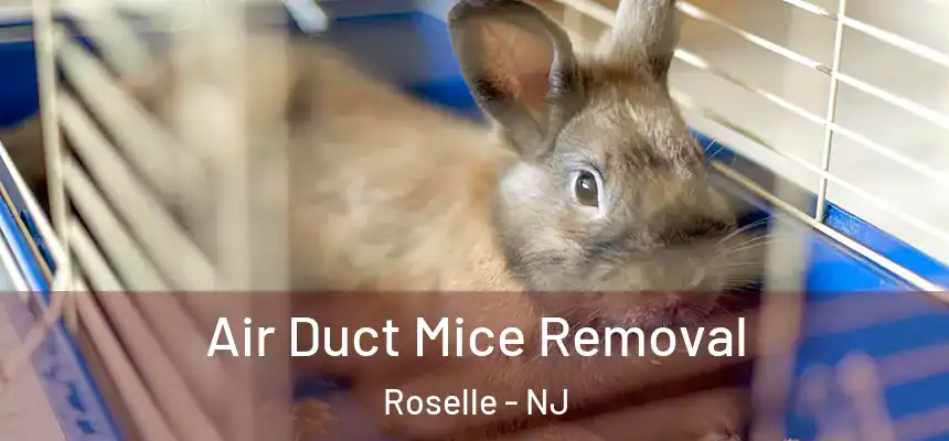 Air Duct Mice Removal Roselle - NJ