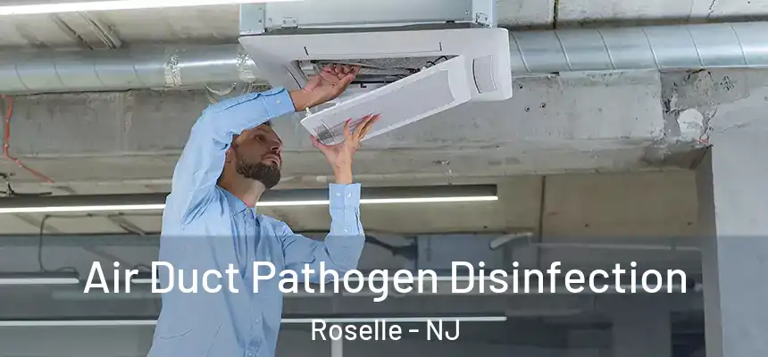 Air Duct Pathogen Disinfection Roselle - NJ