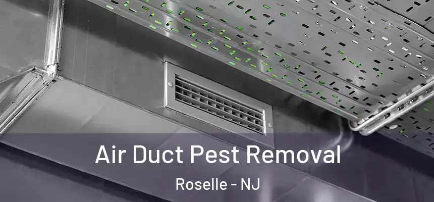Air Duct Pest Removal Roselle - NJ