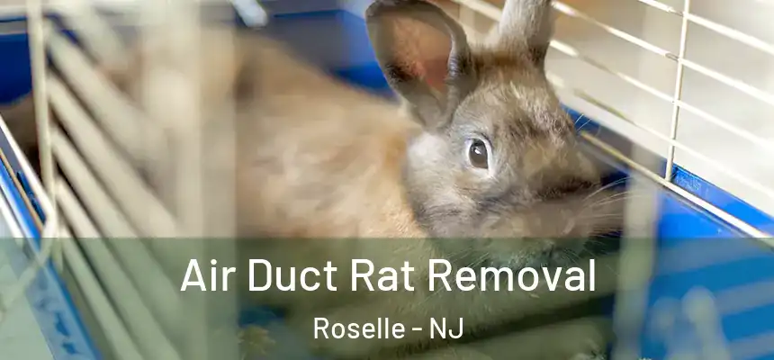Air Duct Rat Removal Roselle - NJ