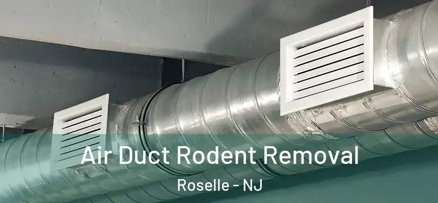 Air Duct Rodent Removal Roselle - NJ