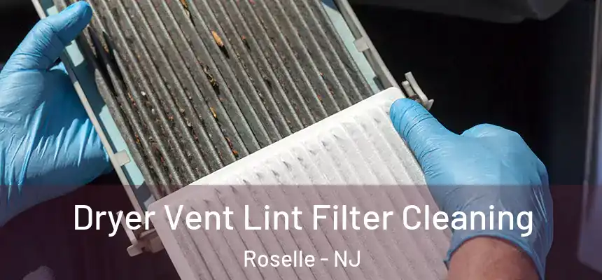 Dryer Vent Lint Filter Cleaning Roselle - NJ