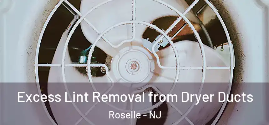 Excess Lint Removal from Dryer Ducts Roselle - NJ
