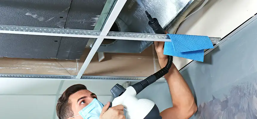 Our Air Duct Rodent Removal Services in Roselle, NJ