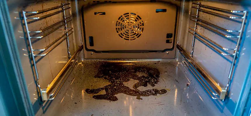 Our Dryer Vent Mold Cleaning Services in Roselle, NJ