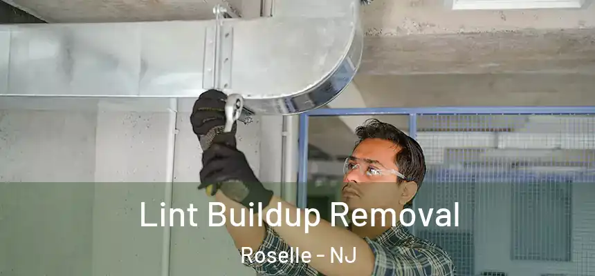 Lint Buildup Removal Roselle - NJ