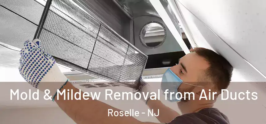 Mold & Mildew Removal from Air Ducts Roselle - NJ