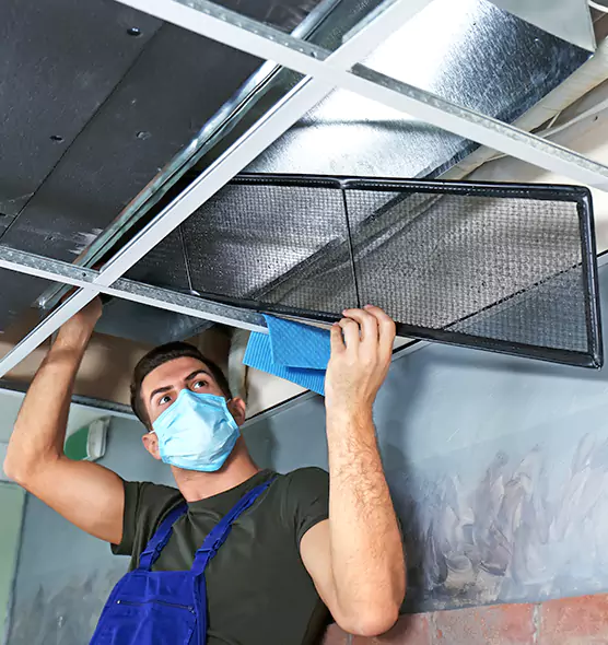 About Air Duct Bacteria Removal in Roselle