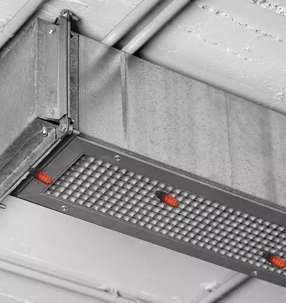 About Air Duct Cockroach Removal in Roselle, NJ