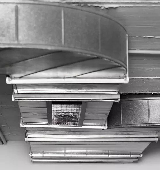 Professional Air Duct Pet Hair Removal in Roselle, NJ