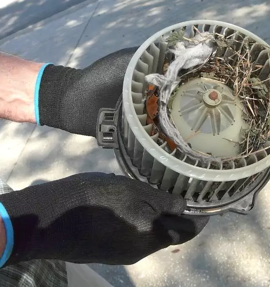 About Air Duct Rat Removal in Roselle, NJ