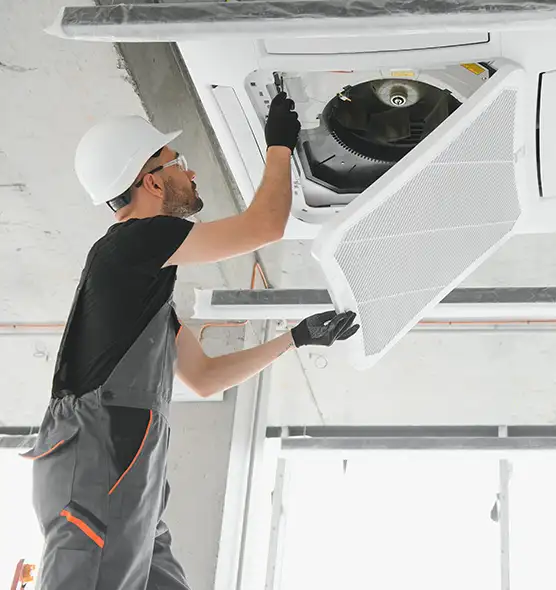 About Air Duct Rodent Removal in Roselle, NJ