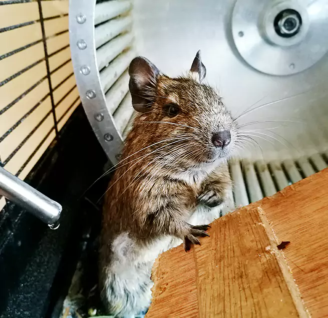 Why Homeowners & Businesses Trust Us Roselle, NJ