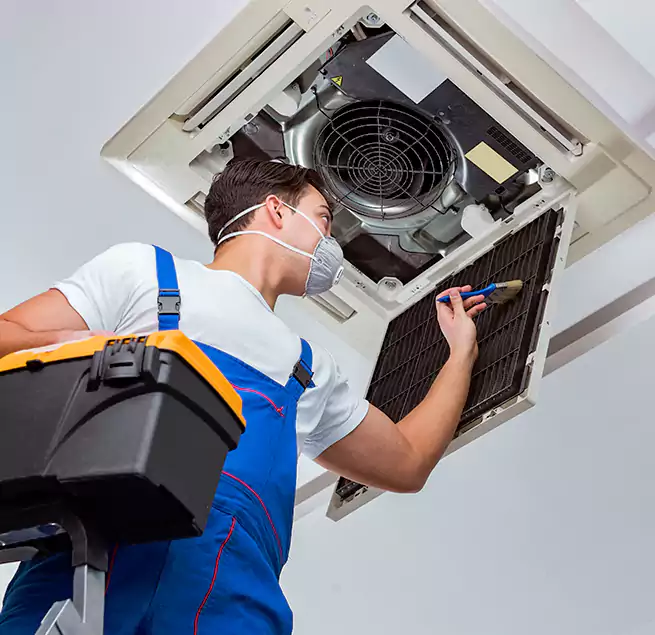 Why Homeowners & Businesses Trust Us in Roselle, NJ