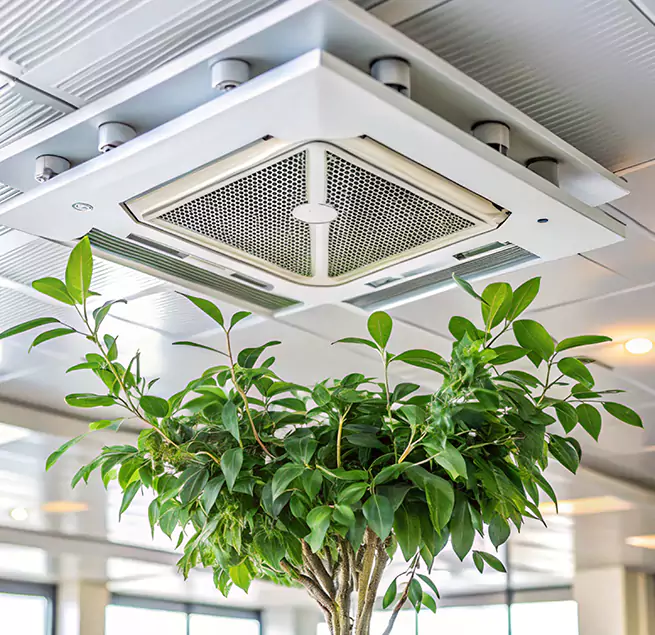 Why Homeowners & Businesses Trust Us in Roselle, NJ?