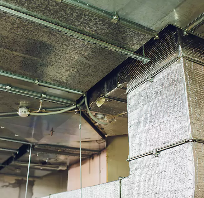 Why Homeowners & Businesses Trust Us in Roselle, NJ?