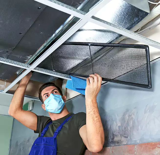 Why Homeowners Businesses Trust Us in Roselle, NJ