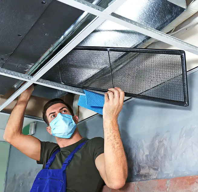 Why Homeowners & Businesses Trust Us in Roselle, NJ?